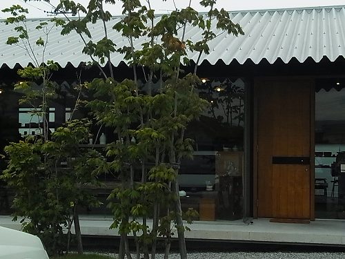 楓の看板