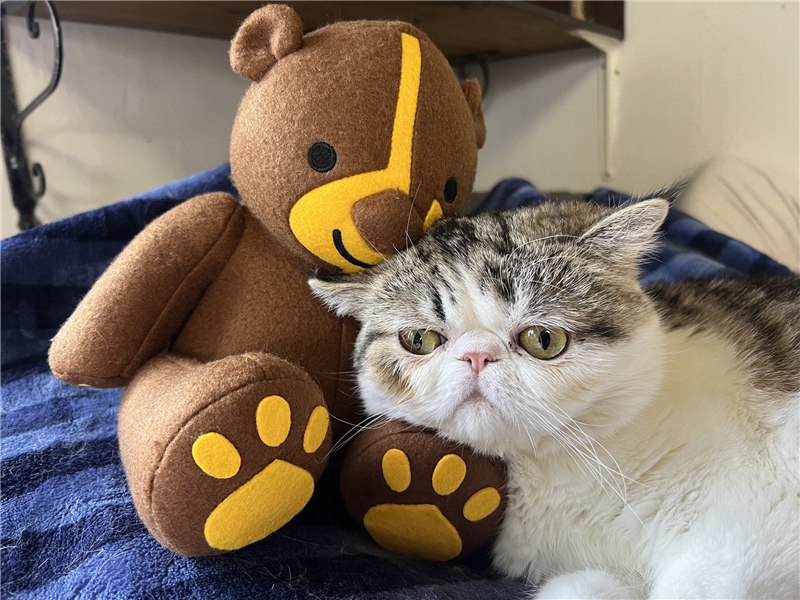 きょうのクリックマン：Instagramに投稿された栗熊での一枚